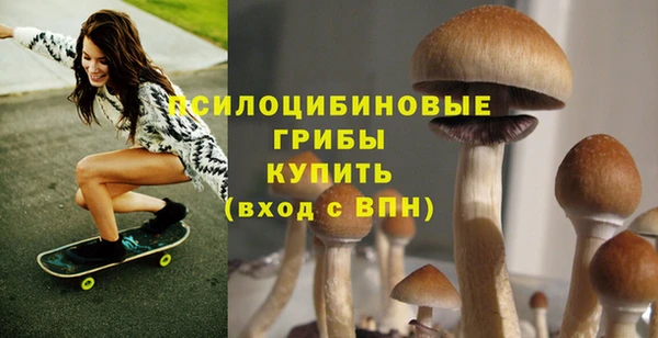 СК Беломорск