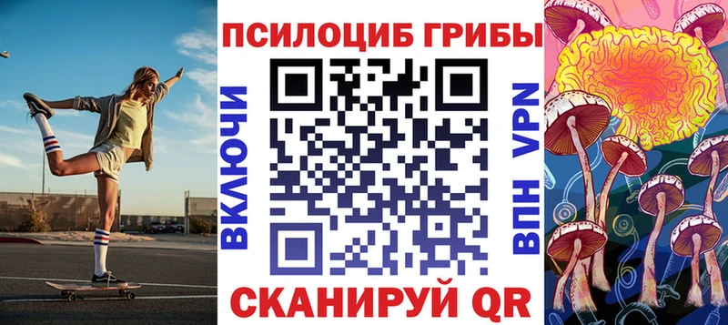 Псилоцибиновые грибы прущие грибы  где найти наркотики  Цоци-Юрт 