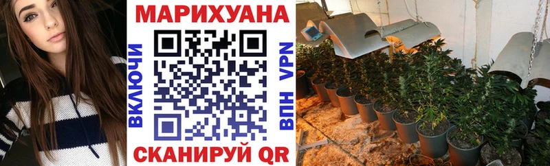 Бошки марихуана индика  Цоци-Юрт 